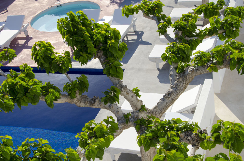 RK Beach Hotel Kamári Einrichtungen foto